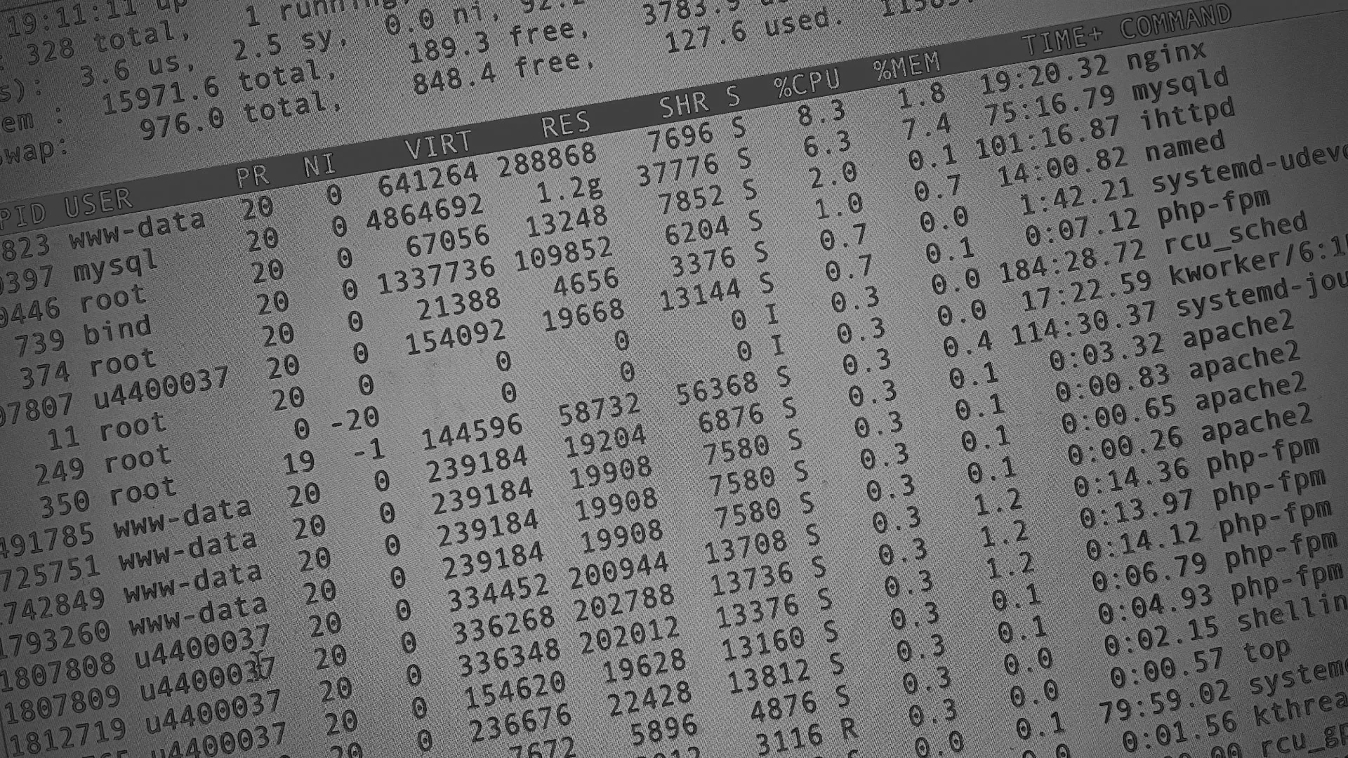 Настройка сервера в Череповце