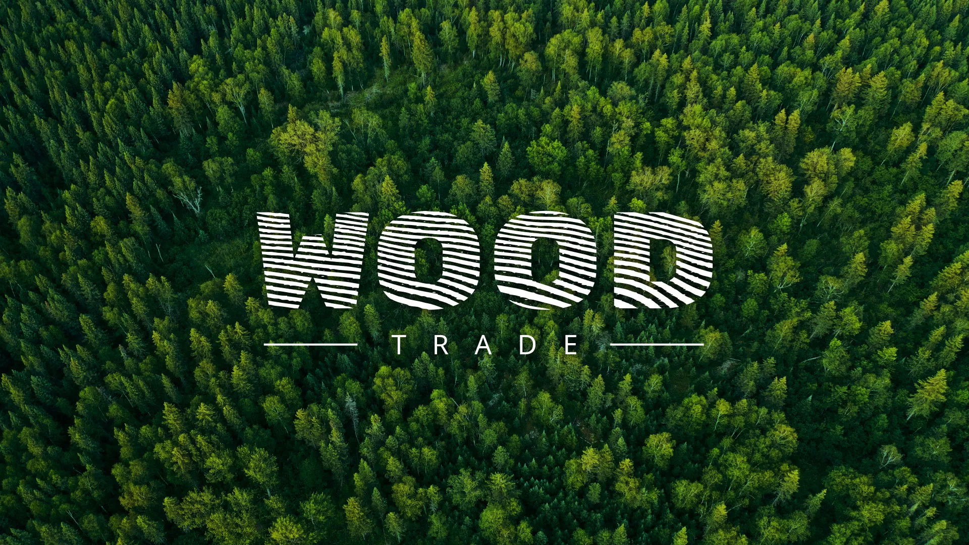 Разработка интернет-магазина компании «Wood Trade» в Череповце